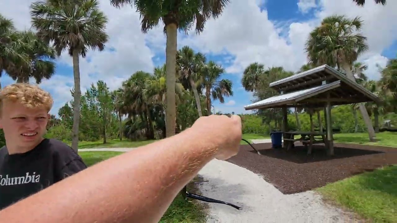 🏝ШТАТ ФЛОРІДА. МІСТО НОРТ ПОРТ. ПРИРОДА ТУТ 👍👍А ОКЕАНИ ЦЕ ЗОВСІМ БОМБА👍👍🏖#florida #сша #northport