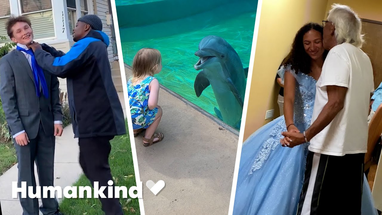 Watch the best good news stories of the month | Humankind #goodnews