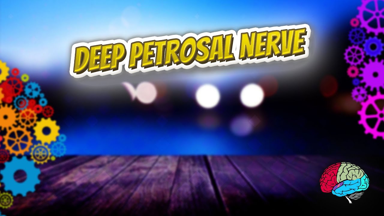 Deep petrosal nerve - Know It ALL 🔊✅