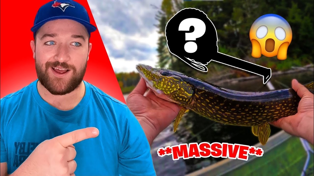 CATCHING HUGE FISH IN SMALL NORTHERN LAKE! (CRAZY TOPWATER HITS)
