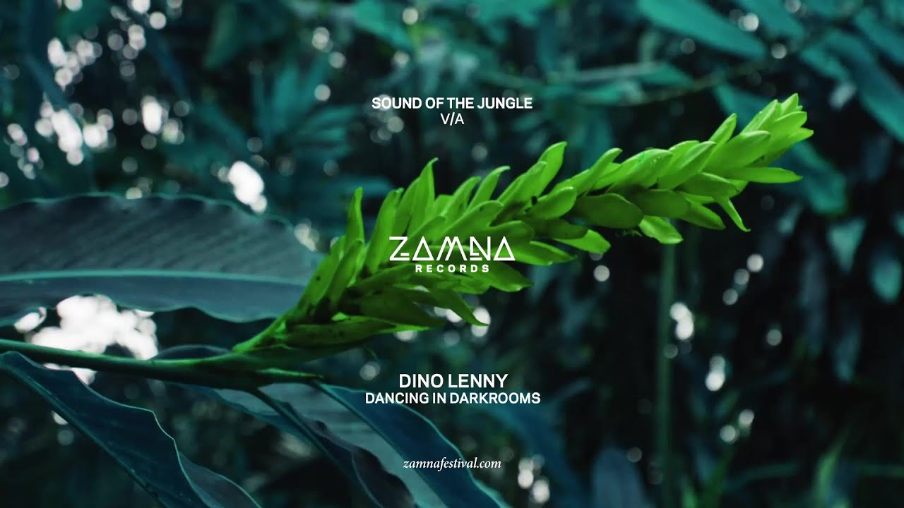 Dino Lenny - Dancing in Darkrooms