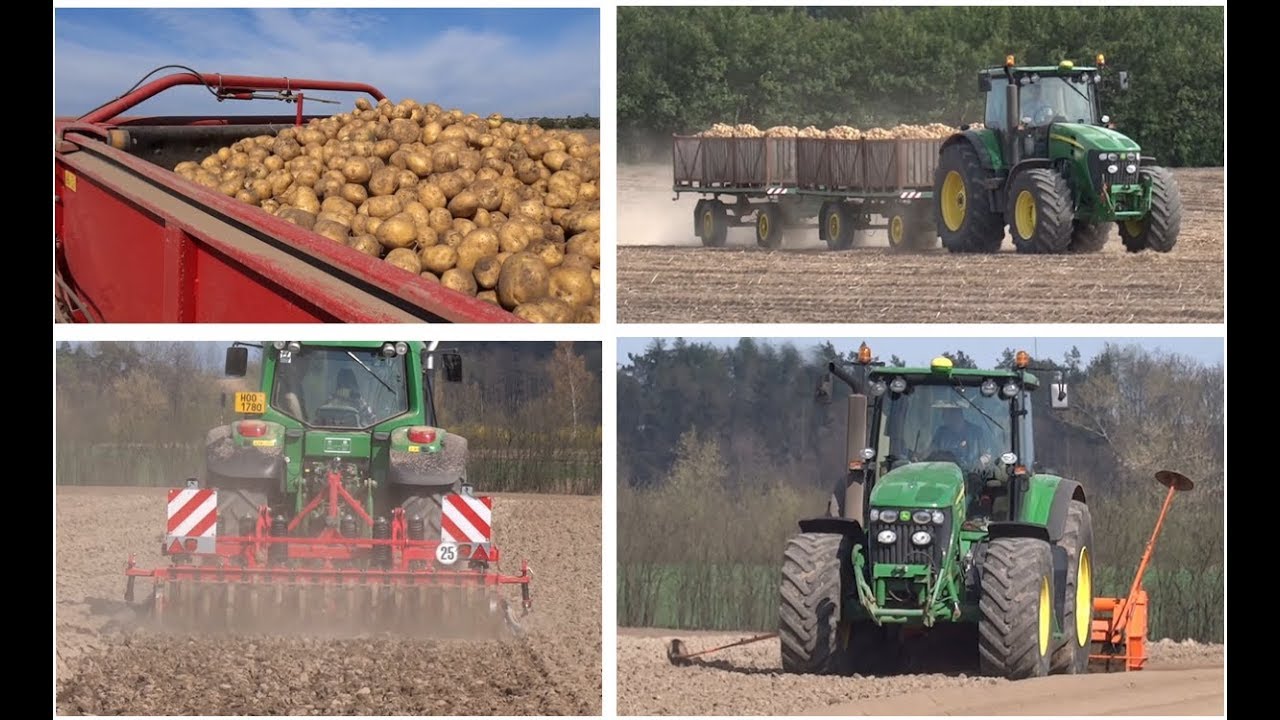 Pěstování brambor - od přípravy půdy po uskladnění | potato planting, harvest