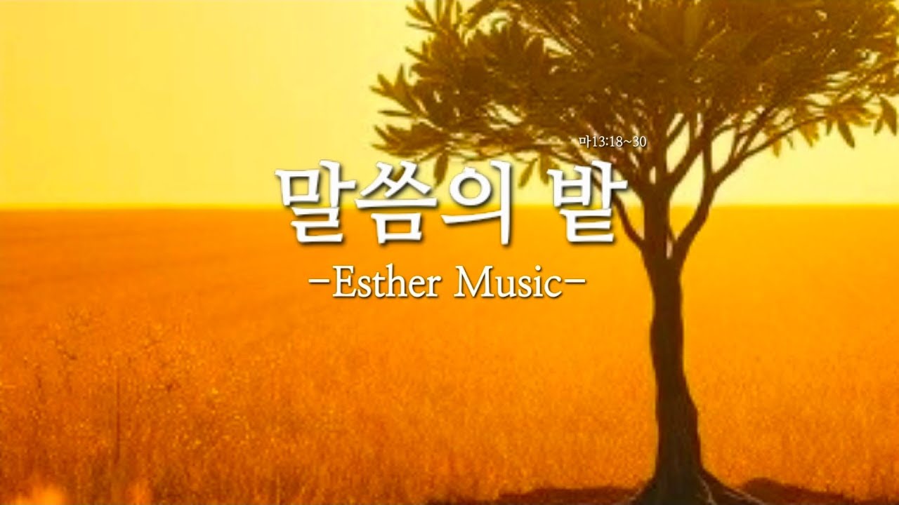 말씀의 밭(마 13:18~30) #에스더뮤직  #에스더tv #김에스더목사 #생명의 삶 