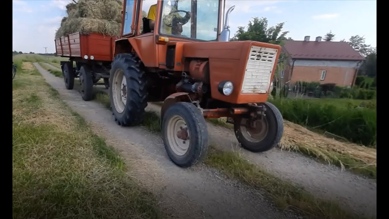 Zgrabianie siana i zwożenie przyczepą  Autosan D-44 w remoncie kolorystycznym u  Agro Bliźniaków