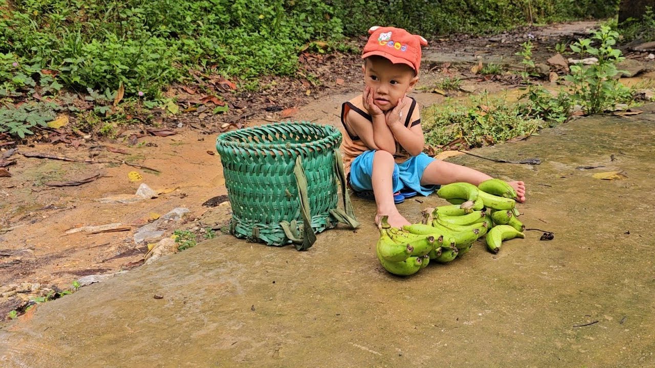 The mother unfortunately fell and hurt her arm, so her young son went alone to pick bananas to sell.