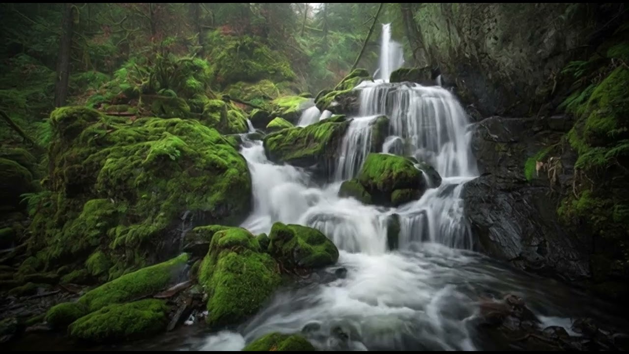 Waterfall relaxation Nature 