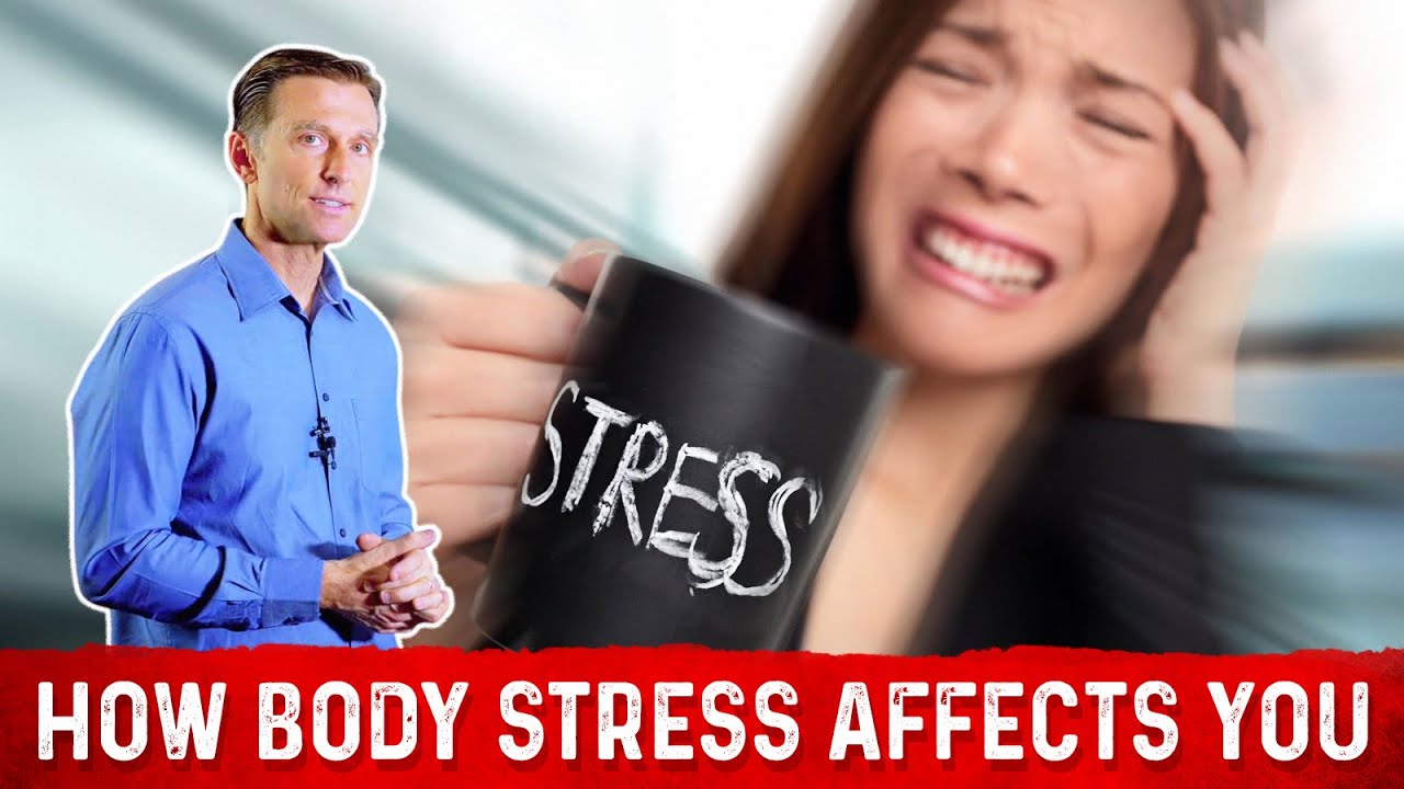 Stressors | Causes of Stress & How it affects your body &ndash; Dr. Berg