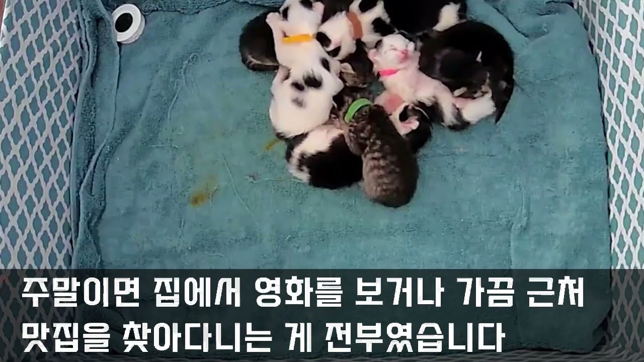 SNS로 다시 만난 첫사랑… 내 아내가 선택한 ‘진짜 인생’의 끝은 충격이었습니다   불륜사연   사이다썰