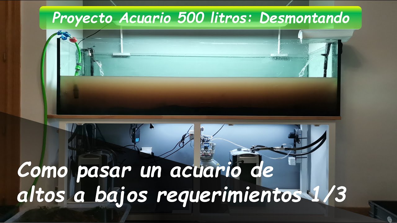 Cómo pasar un ACUARIO de 500 Litros de Altos a Bajos Requerimientos 1/3: DESMONTANDO EL PROYECTO