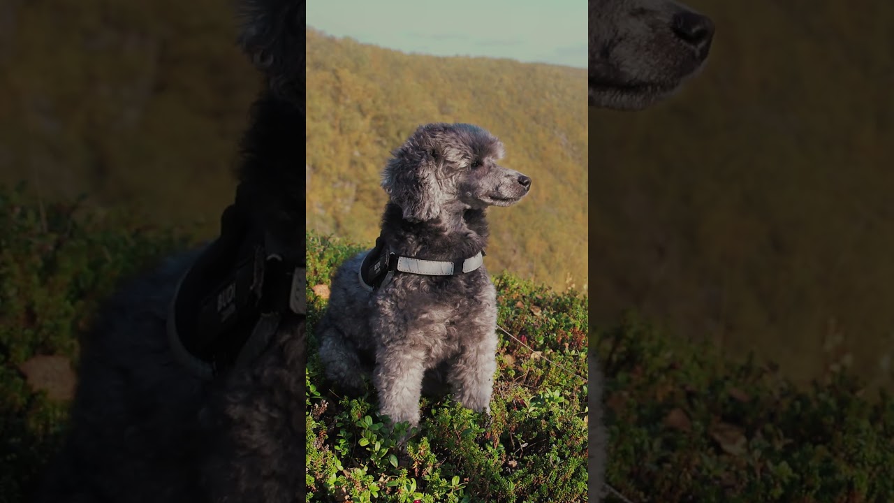 Kevon kanjoni on huikea näky 🙂 Vaellus Retkeily