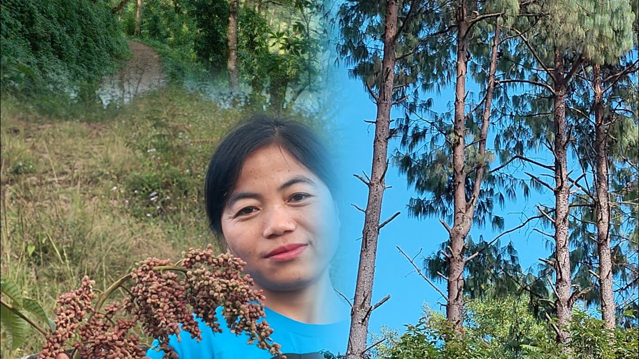 #Had some fun in the jungle 😂💃🌳