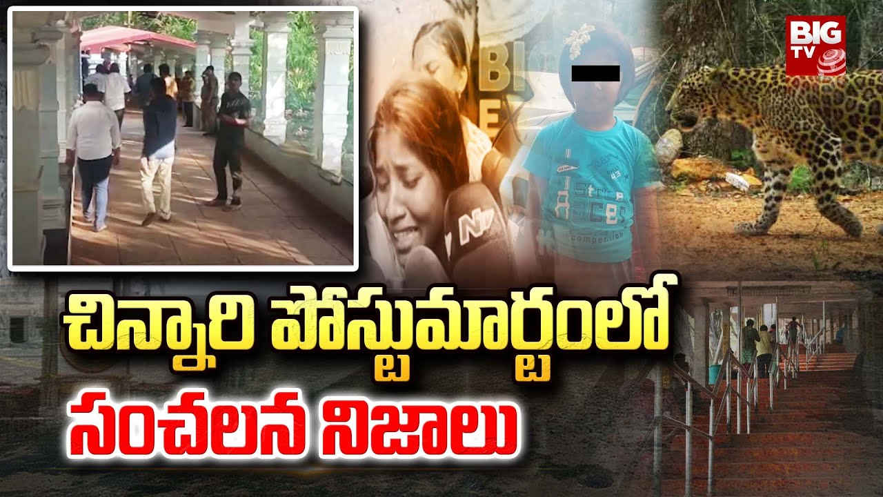Leopard Attack Incident On 6 Year Old Girl | Sensational Truths In Child's Autopsy | BIG TV