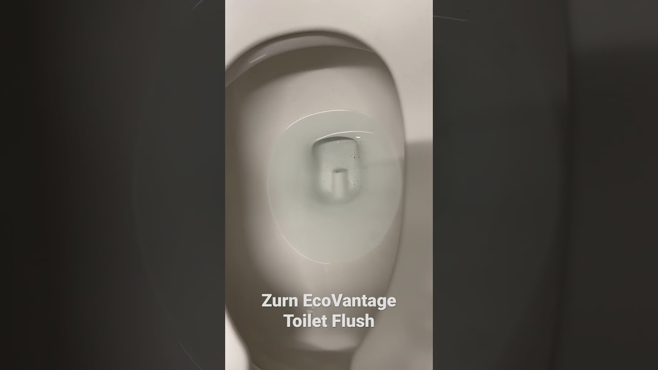 Zurn EcoVantage Toilet Flush 馬桶 トイレ 화장실 Inodoro Banheiro туалет