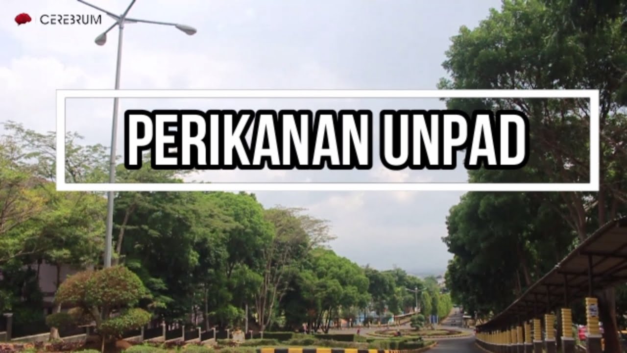 CEREJUR - Perikanan UNPAD