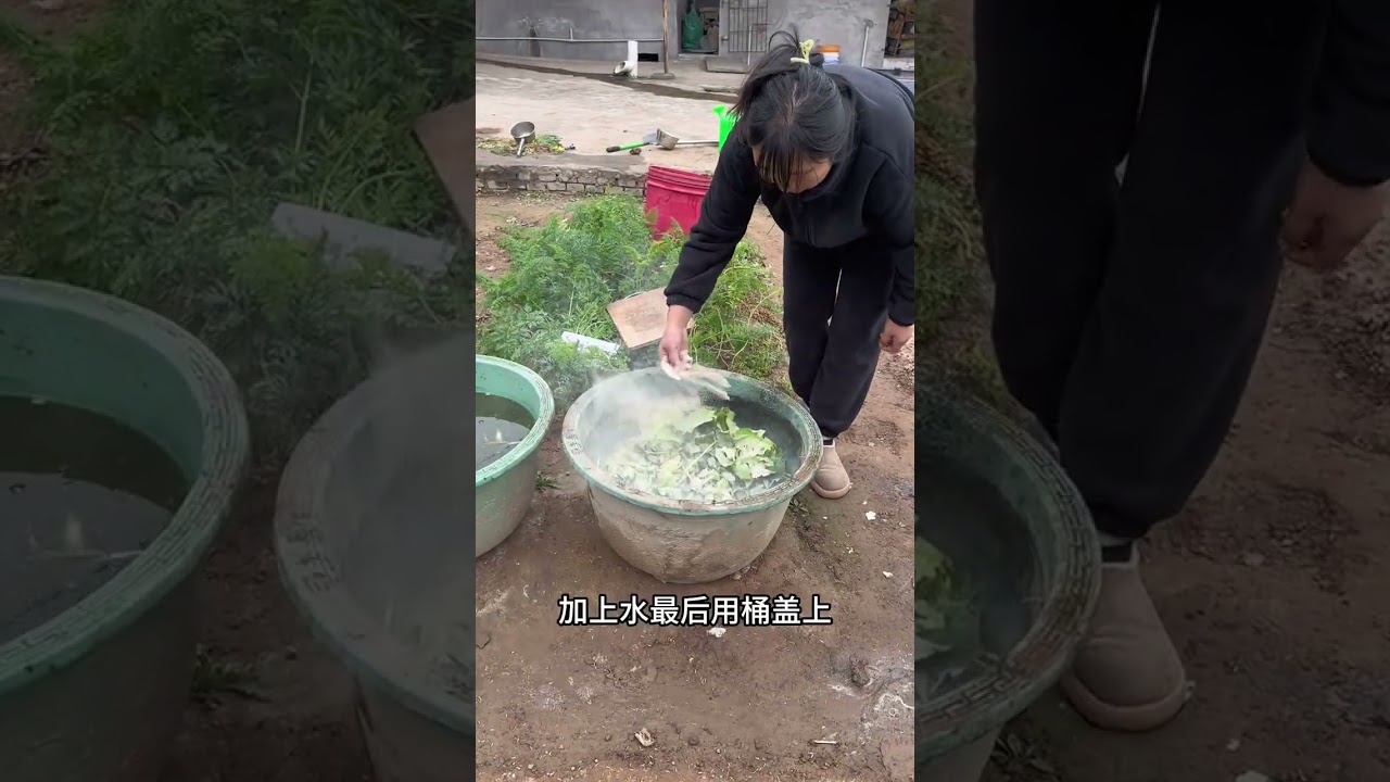 Master Composting: A Vegetable Grower's Secret to Organic Success