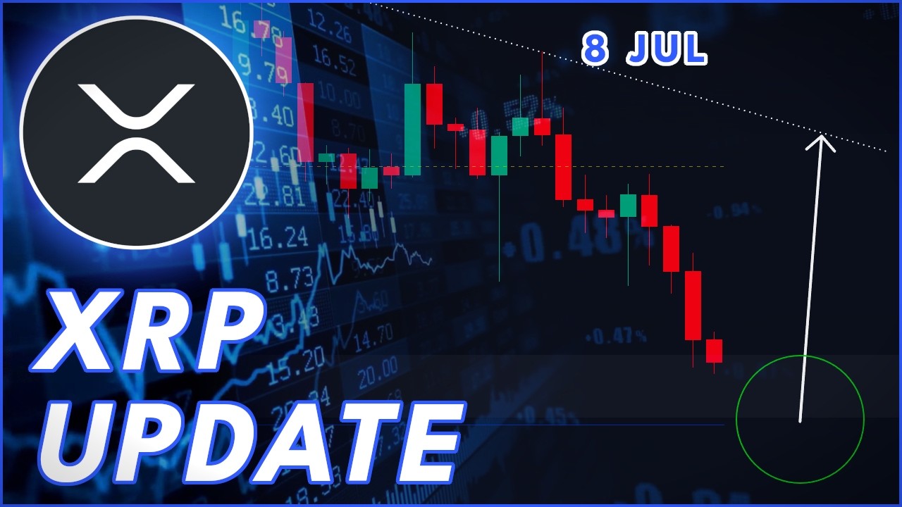MAJOR XRP SUPPORT! Should You Buy Now?