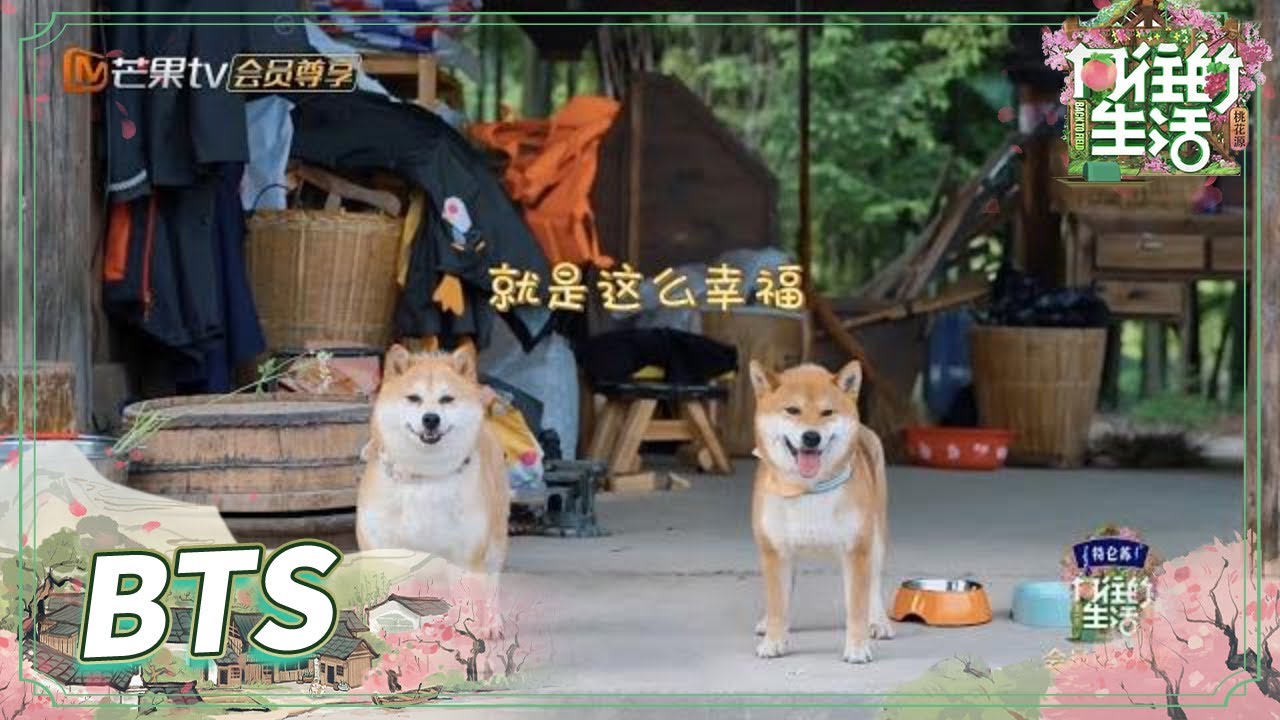 【未播】官方认证：小O胖乎小H英俊！何炅为那英梁静科普&ldquo;蘑菇屋H4&rdquo;《向往的生活5》 Back to Field S5 EP9丨MangoTV