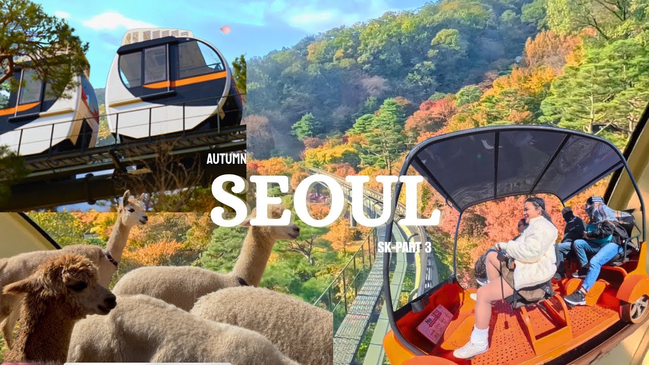 Autumn in Seoul-plot twist- cold and sunny 🍁Nami | Gangchon Rail | Alpaca ~ Hwadam Botanical Garden 