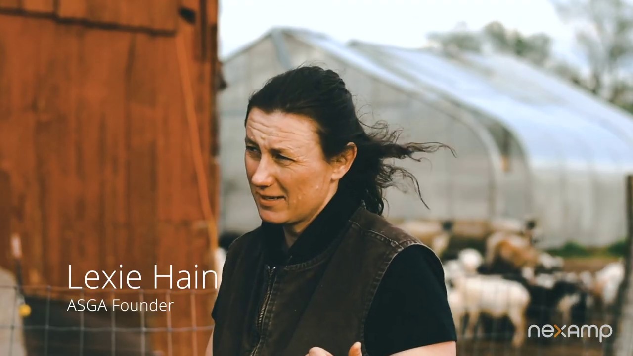 Solar Grazing and the American Solar Grazing Association