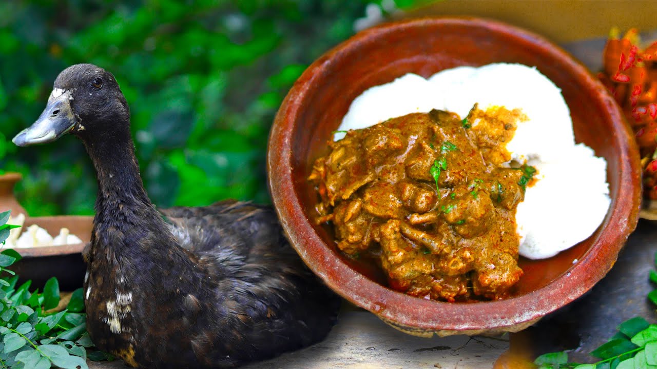 நாட்டு வாத்து கறி குழம்பு | Nattu Vatha Curry Kuzhambu | Country Duck Gravy