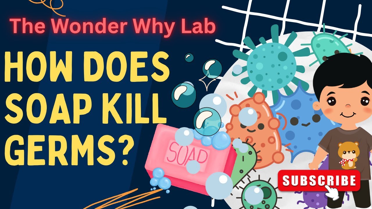 Science for Kids: How Does Soap Kill Bacteria and germs? | The Wonder Why Lab