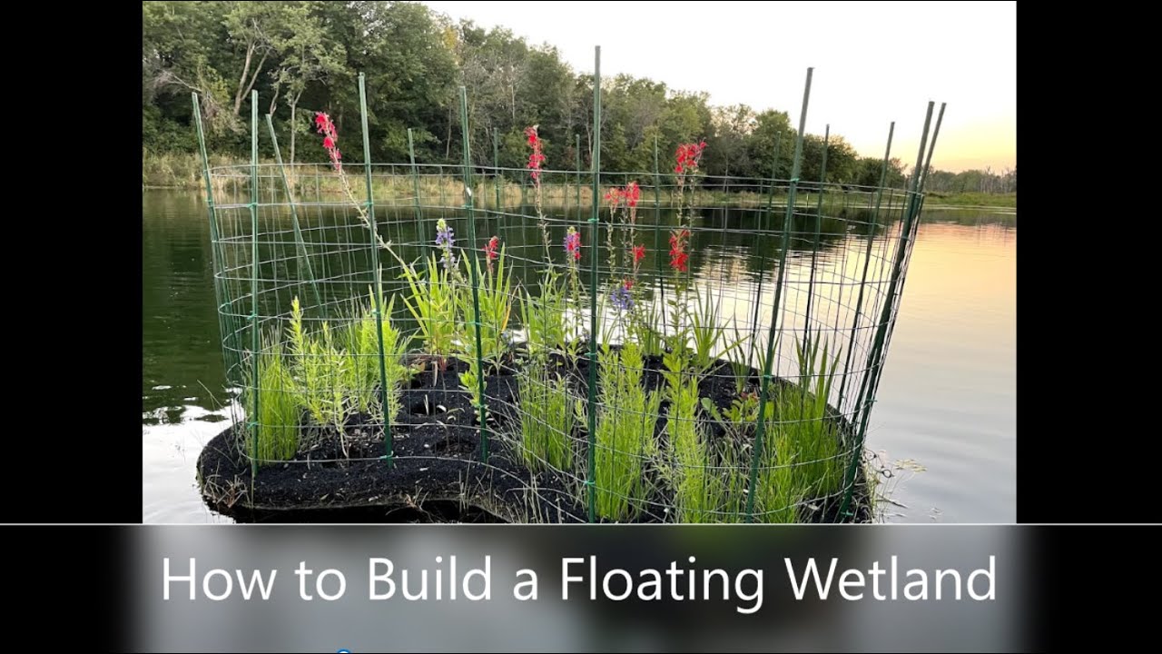 How to Build a Floating Wetland