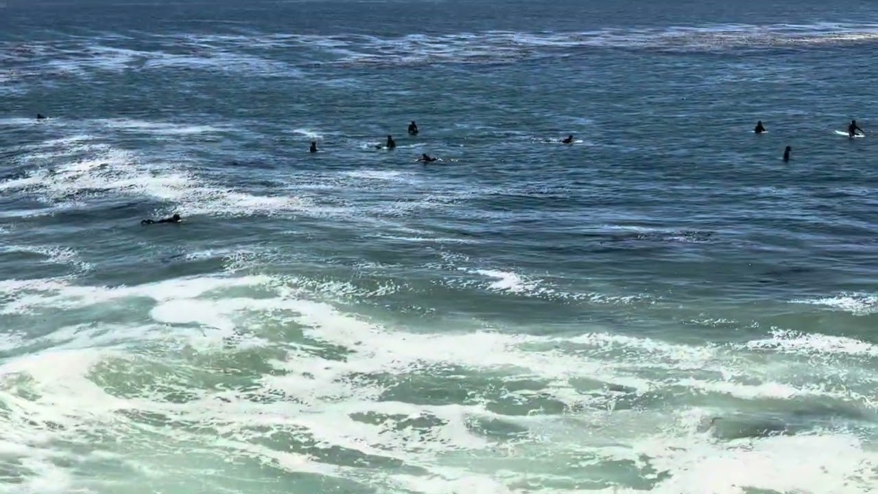 Chasing Waves | Santa Cruz Surf Scene. #SantaCruzSurfing #SurfVibes #CaliforniaWaves #waveriders