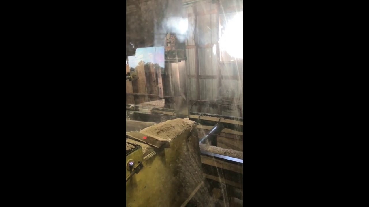 Vertical Edger on Bandsaw, Coal Ridge Lumber - Stonefort IL
