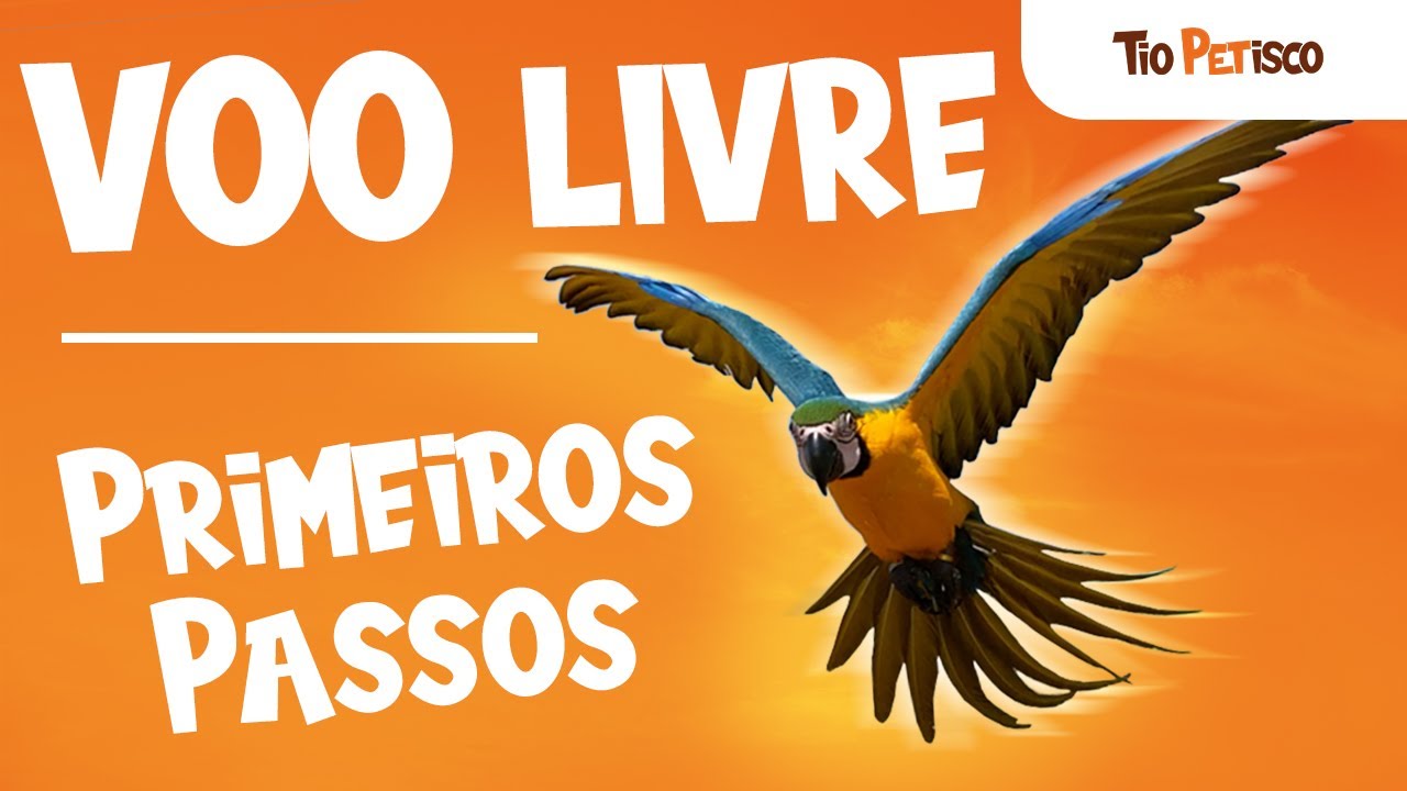 👉 Voo Livre Nível Zero | Como Começar o Treinamento de Papagaio e Arara
