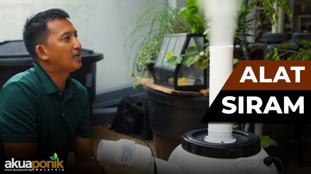 Humidifier Untuk Siram Cendawan | DIY Ultrasonic Humidifier | DIY Misting