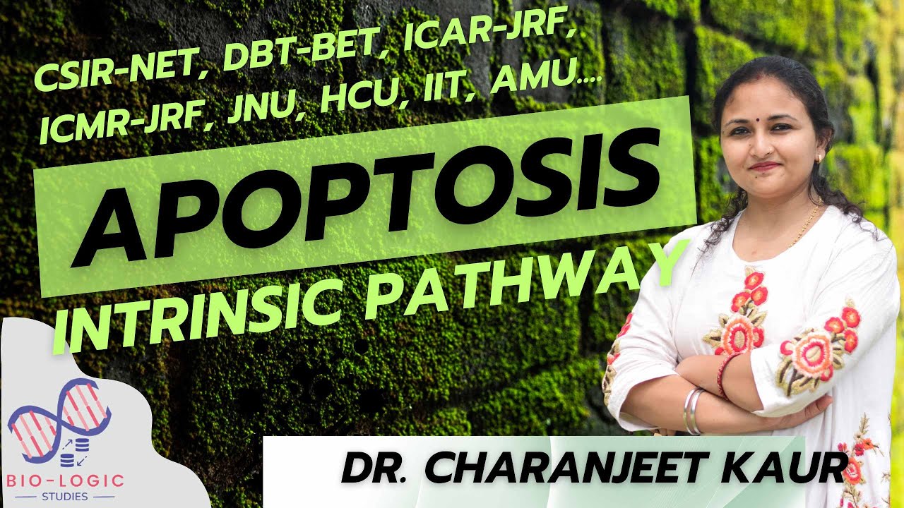 Mitochondria and caspases in apoptosis | Intrinsic Pathway | CSIR NET | Dr. Charanjeet Kaur