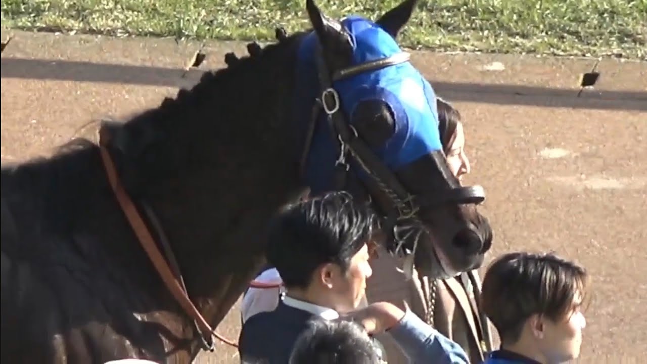 バレンタインステークス　1着ウェットシーズン号（三浦皇成騎手）2026年2月15日（日）東京競馬場