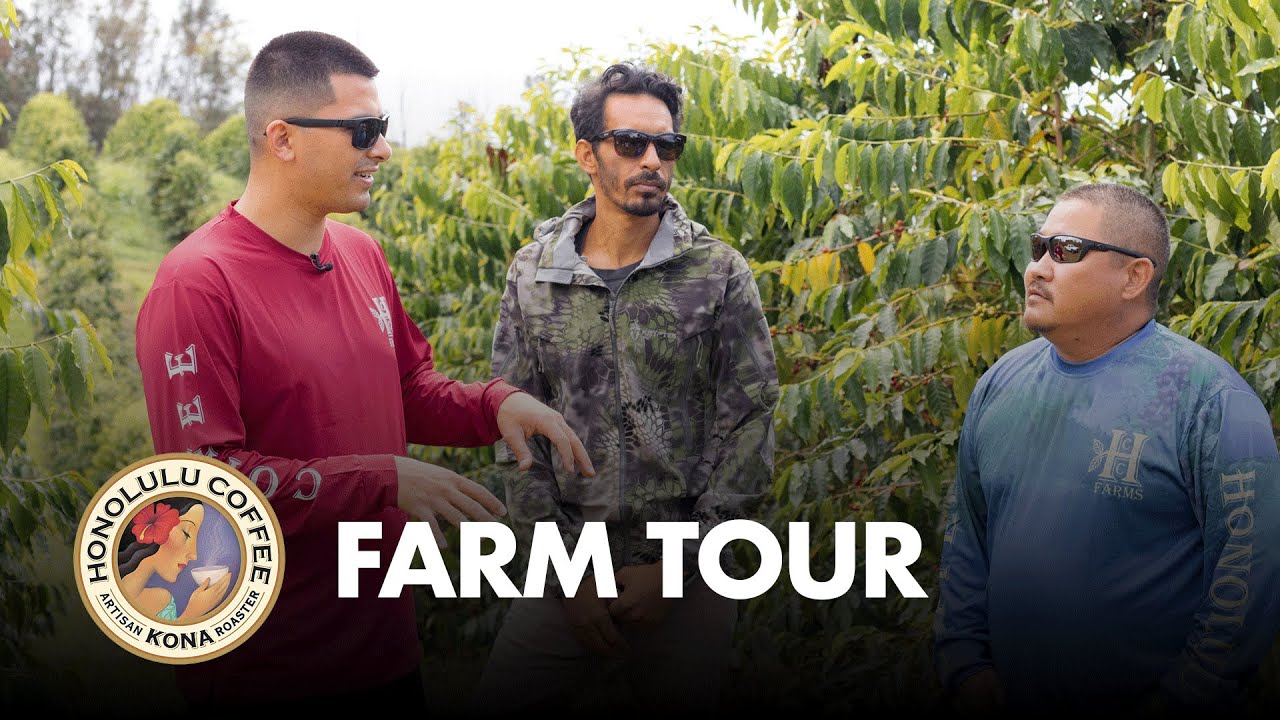 Touring the Honolulu Coffee Company Kona coffee farm on the Big Island of Hawai'i
