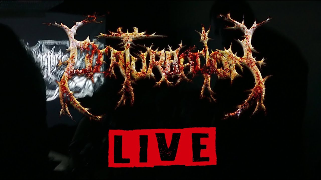 Perturbaci&oacute;n - Bestial Devastion Festival (Live in Honduras, Tegucigalpa - December 21, 2019)