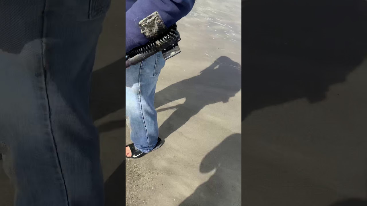 TARSACCI MDT 8000 SALT BEACH DEPTH TEST