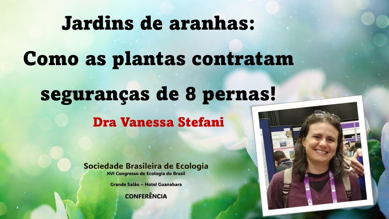 Jardins de Aranhas: como as plantas contratam seguranças de oito pernas!