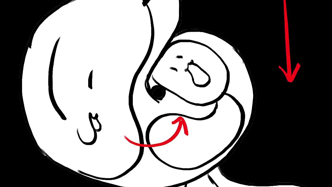 우주고양이 애니메틱스(삭제된 에피소드 포함)