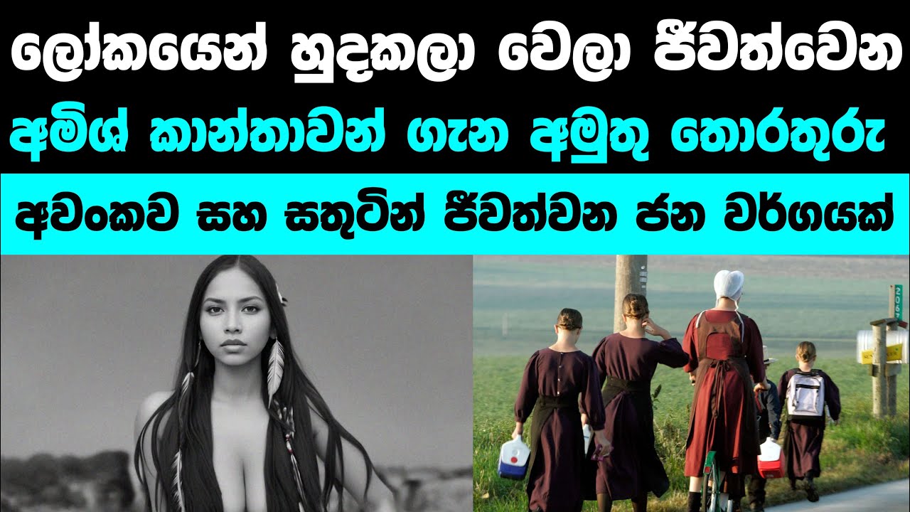 අමුතුම ජීවන රටාවක් ගෙවන ජනවර්ගයක් | Amish people