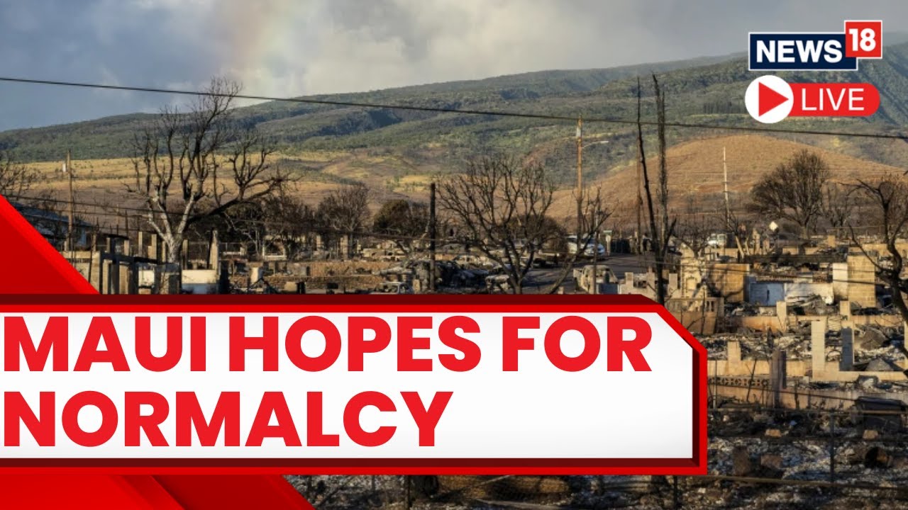 Maui Wildfires 2023 | Maui Fires News LIVE | Hawaii Maui Wildfires LIVE Stream | Hawaii Fires