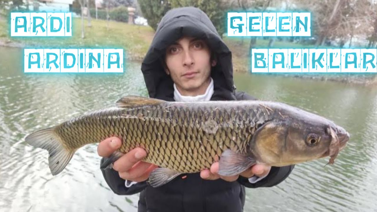 TROFEYİ BULDUK - BALIĞA DOYDUK (balık avı-fishing)