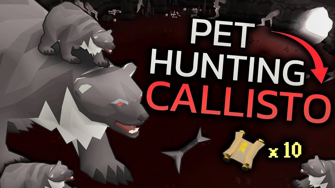 Obtaining The Callisto Pet & 1,000 KC