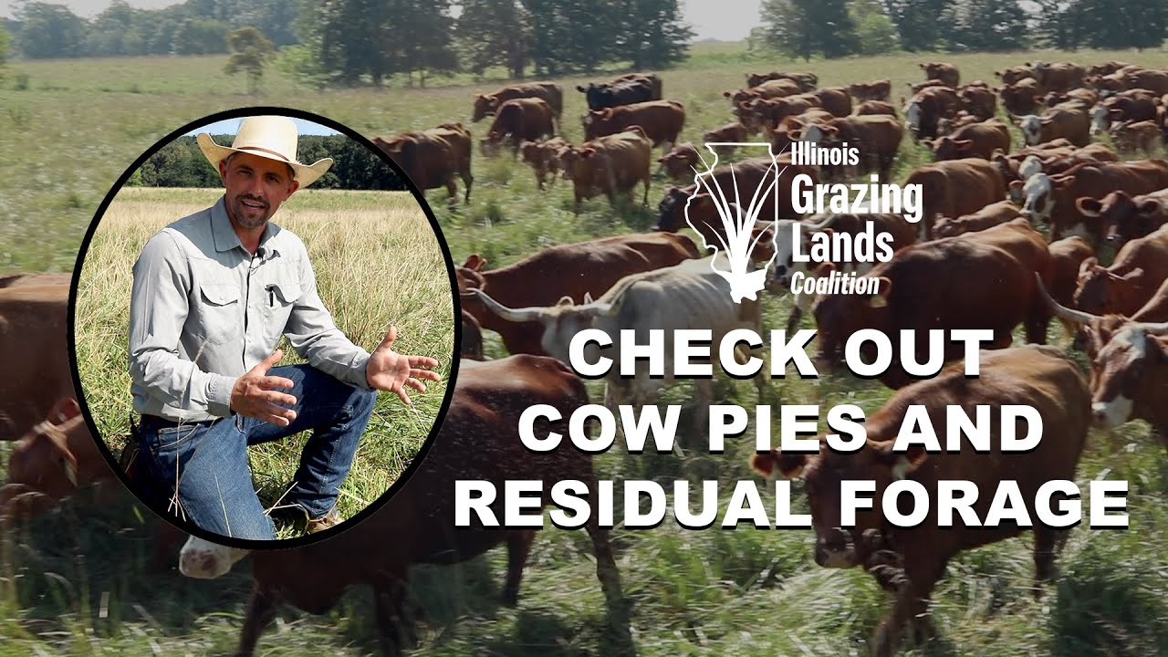 What Manure and Plant Residual Reveal About Your Grazing 💩🌿