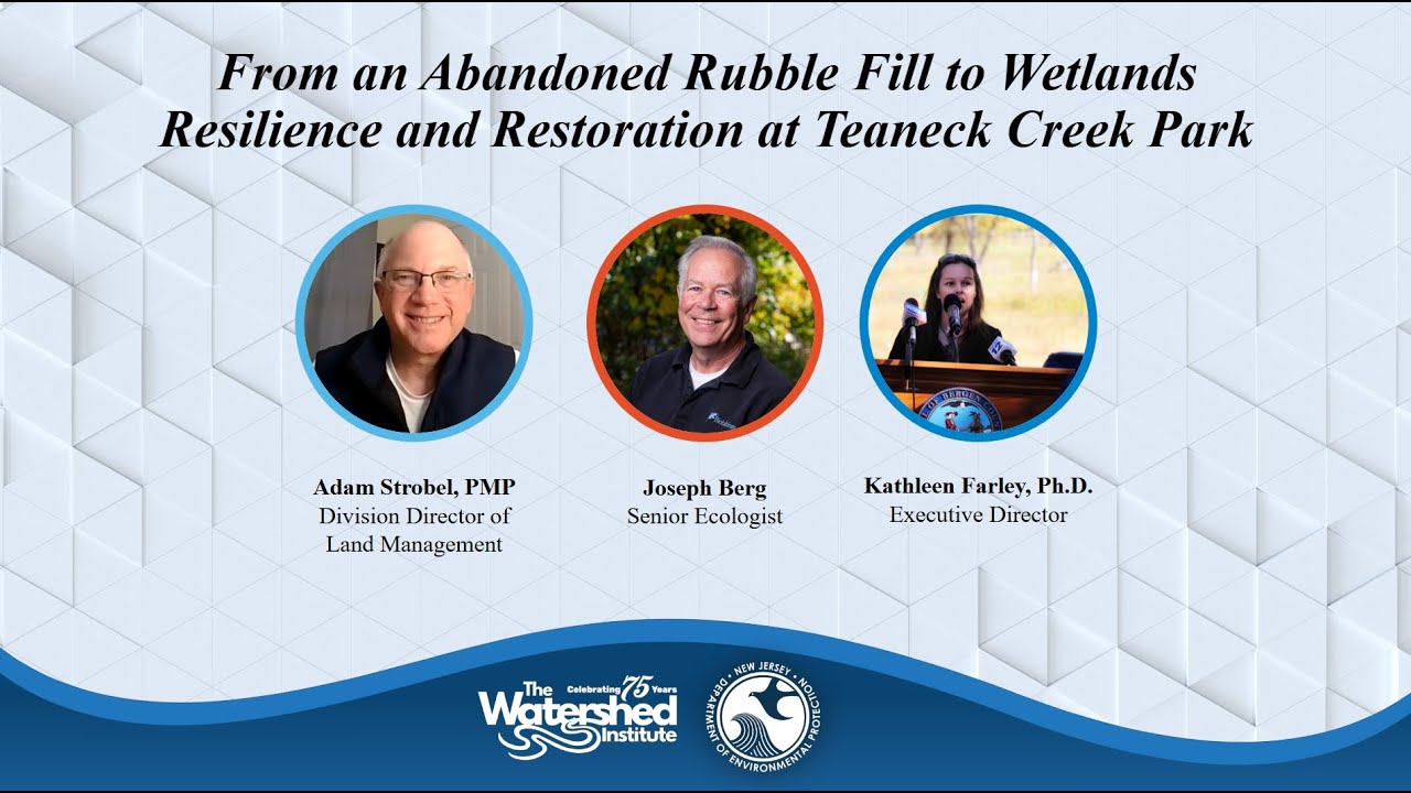 From an Abandoned Rubble Fill to a Wetland: Resilience and Restoration at Teaneck Creek Park