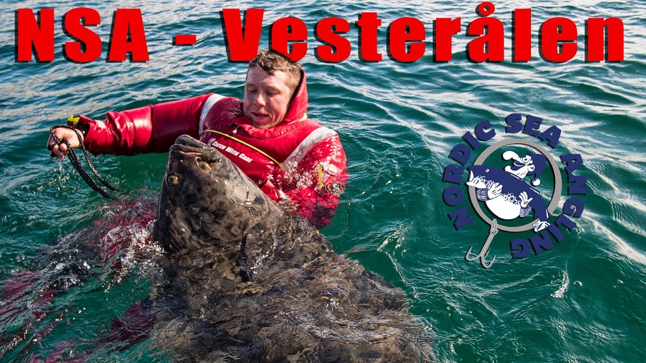 NSA-Vesterålen