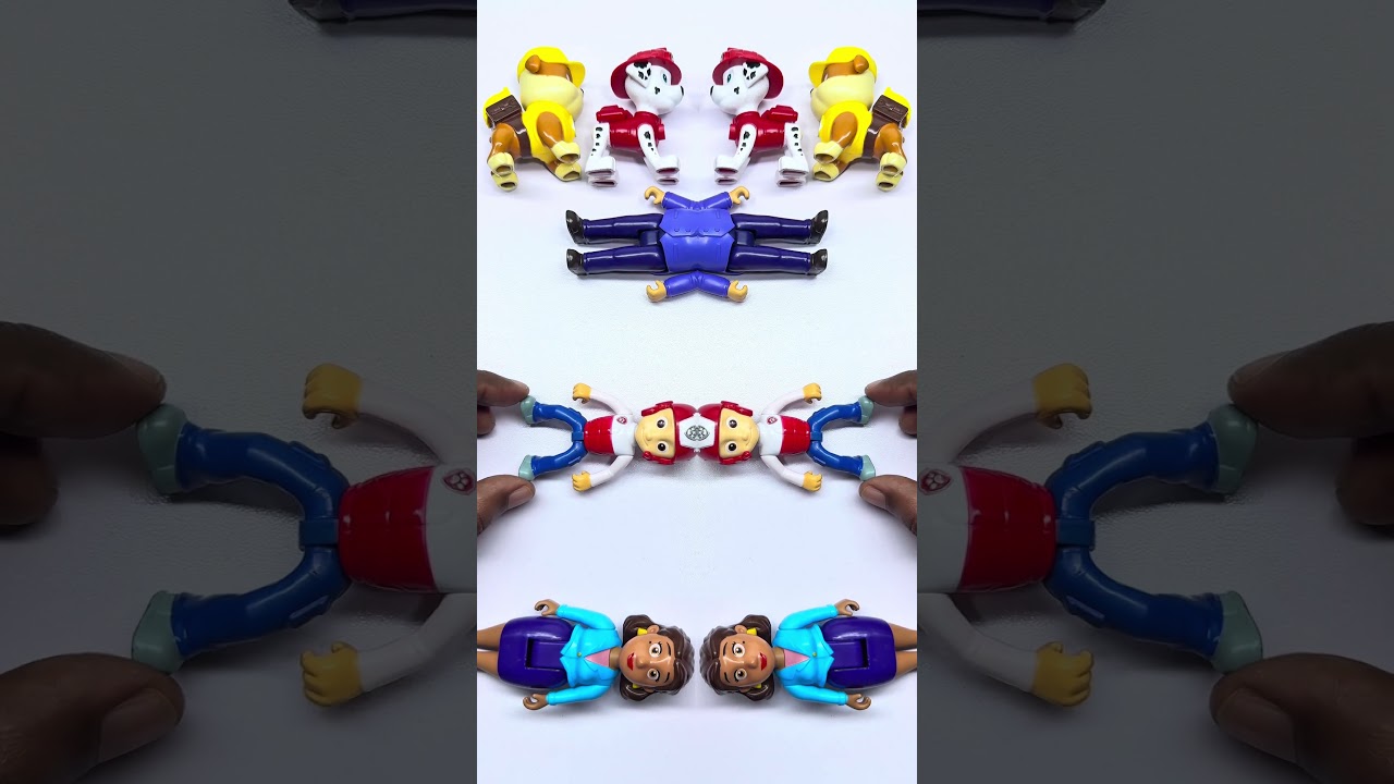 Satisfying Unboxing Experience with Paw Patrol Toys Collection #pawpatrol​ #pawpatroltoys​ #usa