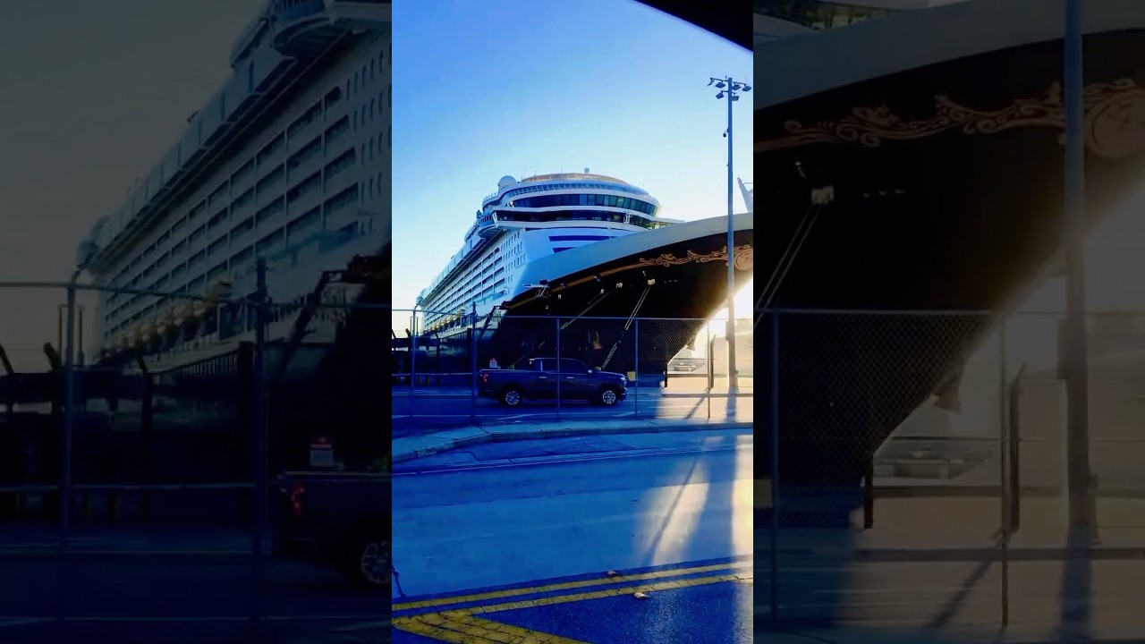 Disney Dream Cruise Shuttle Port Everglades Fort Lauderdale Florida 