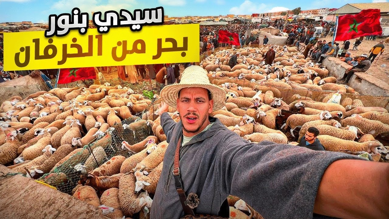 اليوم من سوق ثلاث سيدي بنور إقليم دكالة مع أثمنة حولي العيد الأضحى 🐑11/06/2024 يستحق المشاهدة ‼️