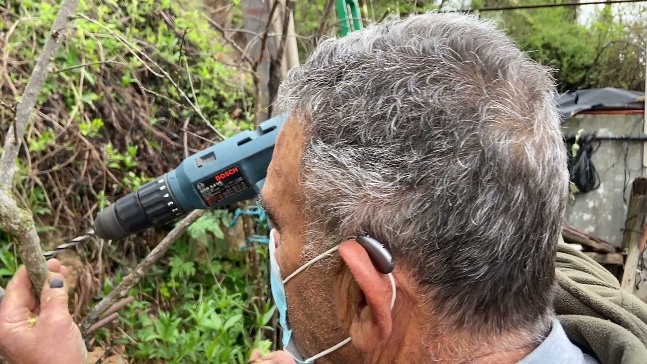 HACIENDO INJERTOS