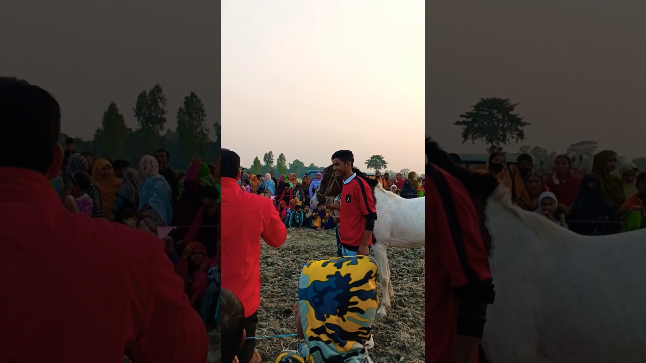 এই তামশা এই নর্তকী দেখা 🥰