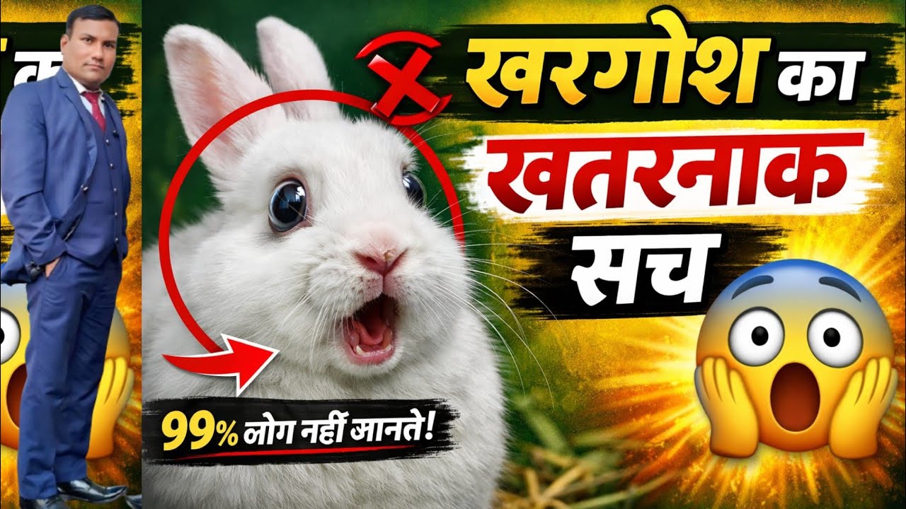 खरगोश के ऐसे राज जो आज तक किसी वेट ने भी नहीं बताए😱? Rabbit Farming Secrets In Hindi/Urdu/ RK Pet